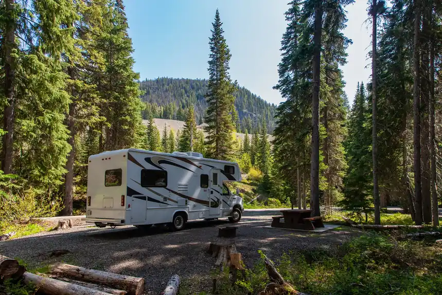 Camping-car blanc garé sous des sapins, près d’une table de pique-nique
