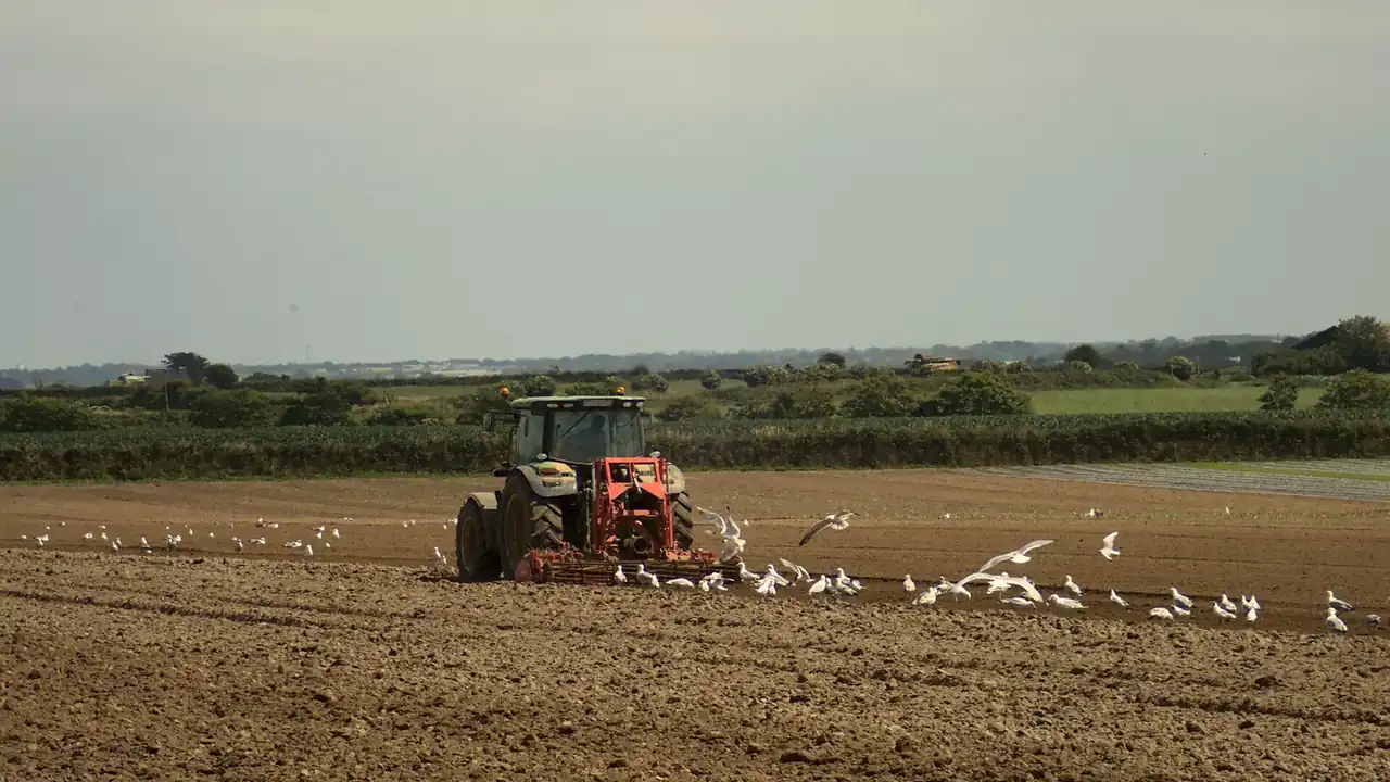 Tracteur agricole au travail dans un champ